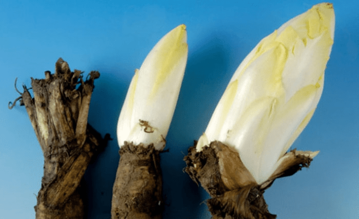 内脏|尿酸高的人，3种食物要忌口，做好2件事，或能避免肾衰竭，需重视