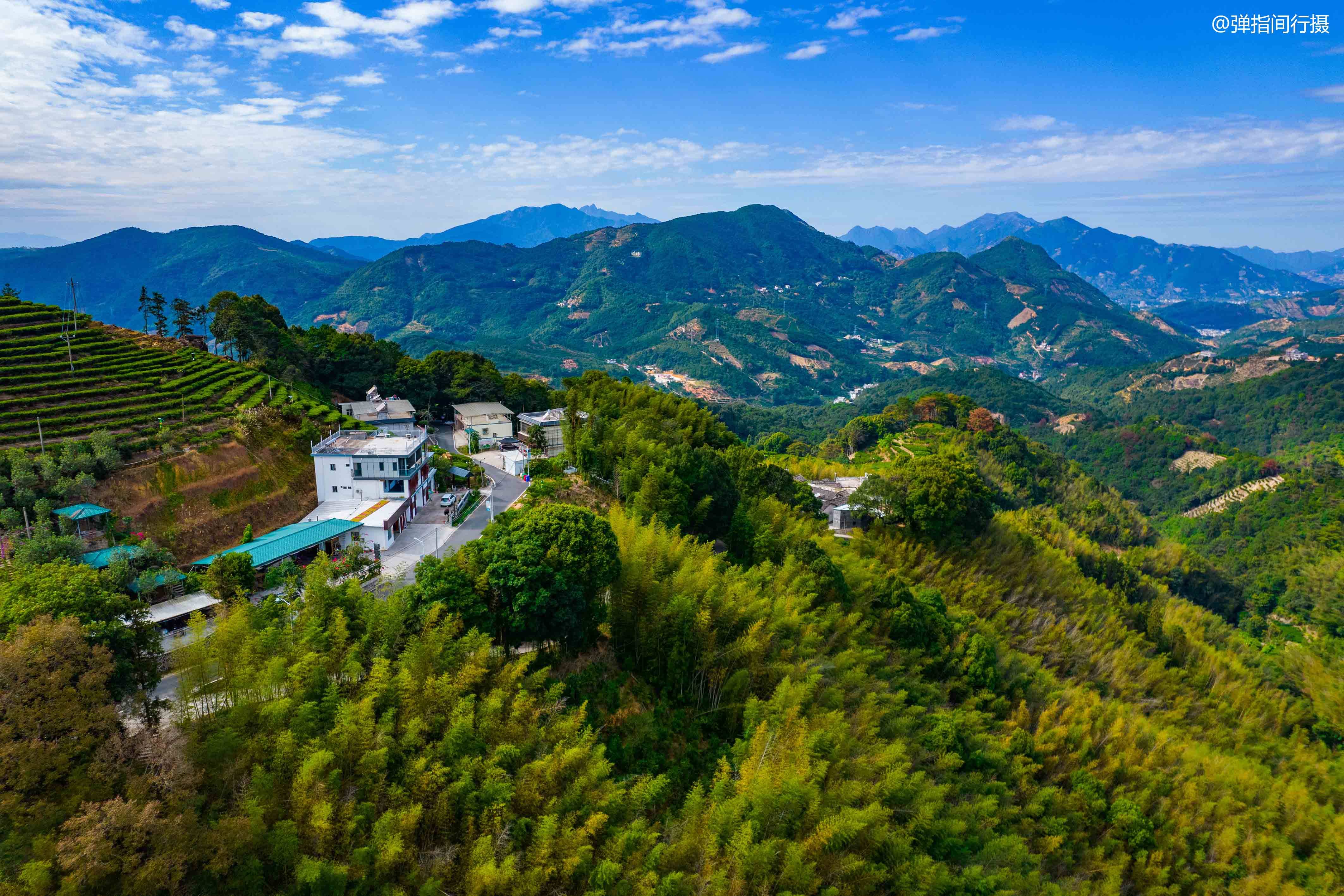 凤凰镇|广东潮州有个隐世山村，号称“单枞茶乡”，是潮汕的“诗与远方”