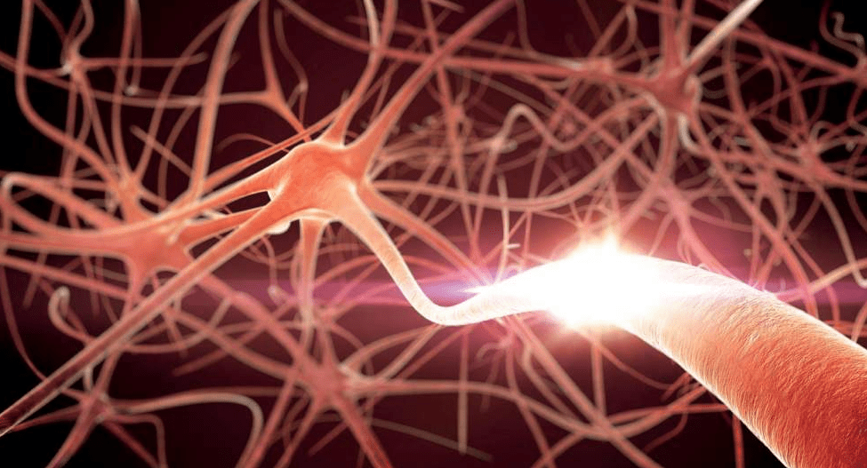 接头|似乎都不能动|“渐冻人”“重症肌无力”与“肌营养不良”的区别