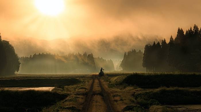 家电零售商痛并快乐着:家家都在电商,人人都能带货-家电圈官网