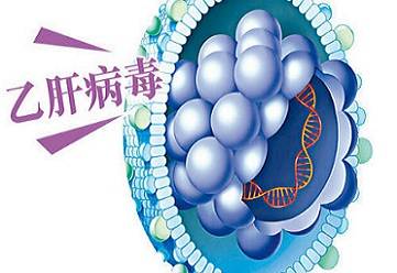 肝脏|乙肝的几大症状