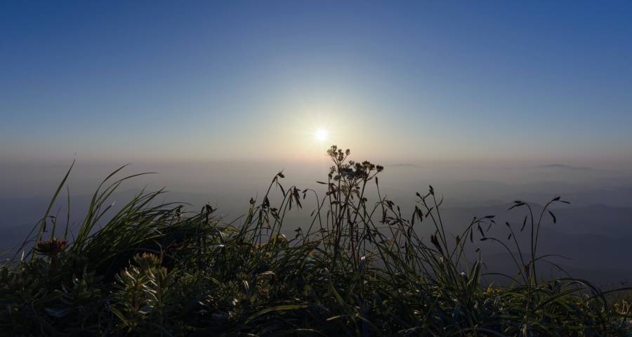 再不忙起来一些家电厂商就麻烦了-家电圈官网