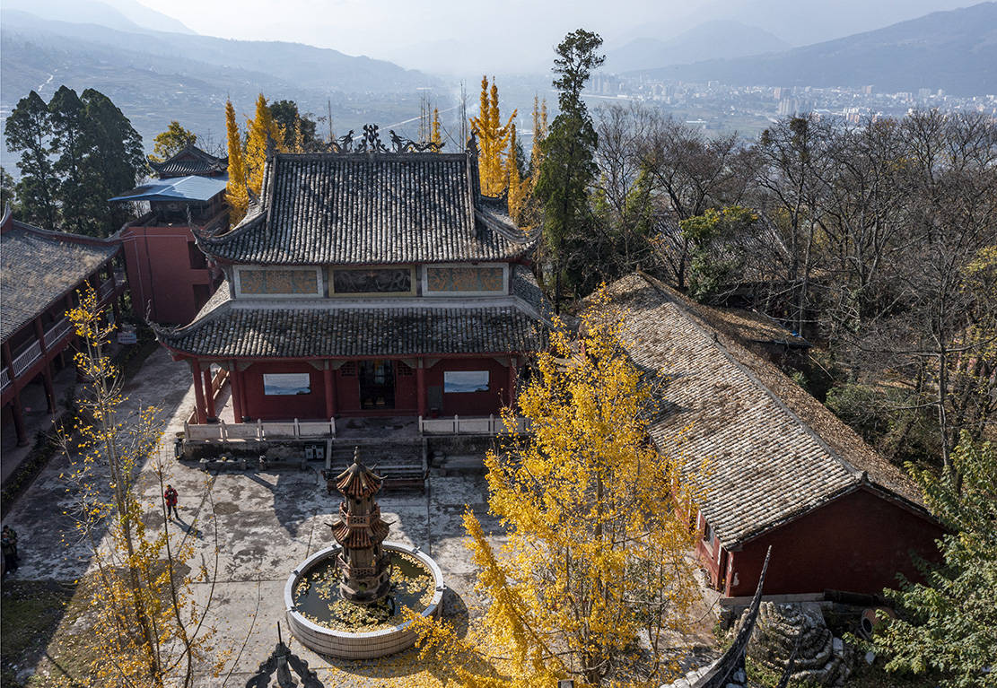 千年古刹天皇寺深秋银杏醉游人