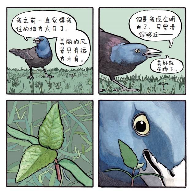 小动物们能有什么坏心思呢?_乔舒亚·巴克曼_人类_漫画