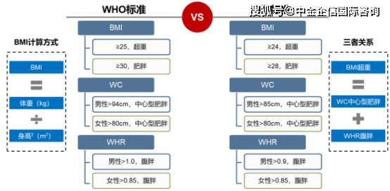 中国成人超重和肥胖症预防控制指南（试行）