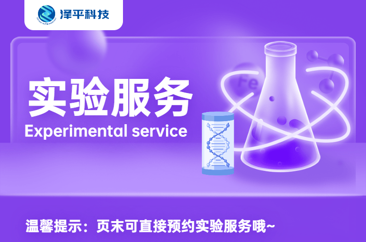 搜索|【北京】哺乳动物细胞培养外包服务