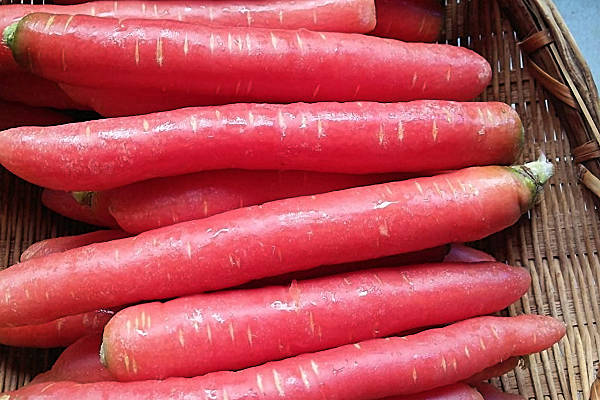 方法怎么祛青春痘,怎么祛青春痘和痘痘,怎么祛青春痘印