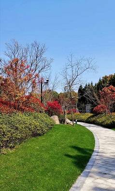 【市场专访】上海浦东『云栖兰亭』【最新消息】浦东宣桥『云栖兰亭