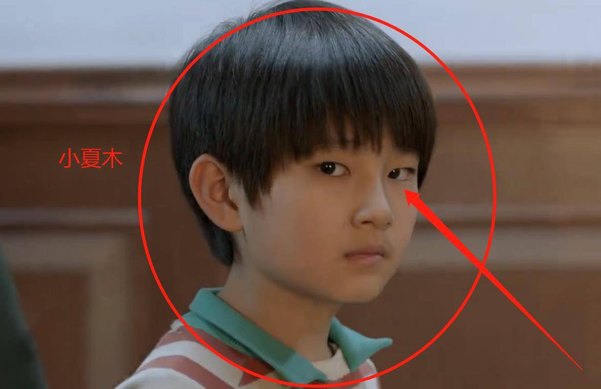 扮演者|被《谁是凶手》小夏木的眼神惊艳到了，扮演者仇恩泽资料起底
