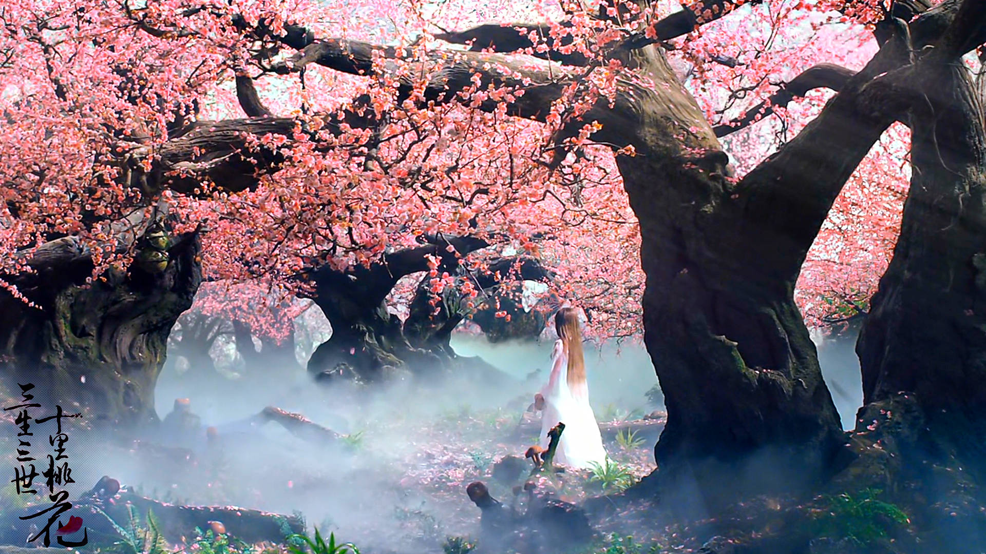 电影《三生三世十里桃花》高清图片合辑:刘亦菲-搜狐大视野-搜狐新闻