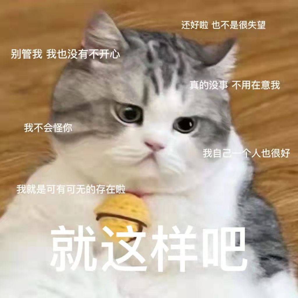 什么|猫咪零食 | 如何喂零食+行为训练+挑选零食