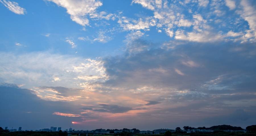 实体店买家电的用户绝非图便宜-家电圈官网