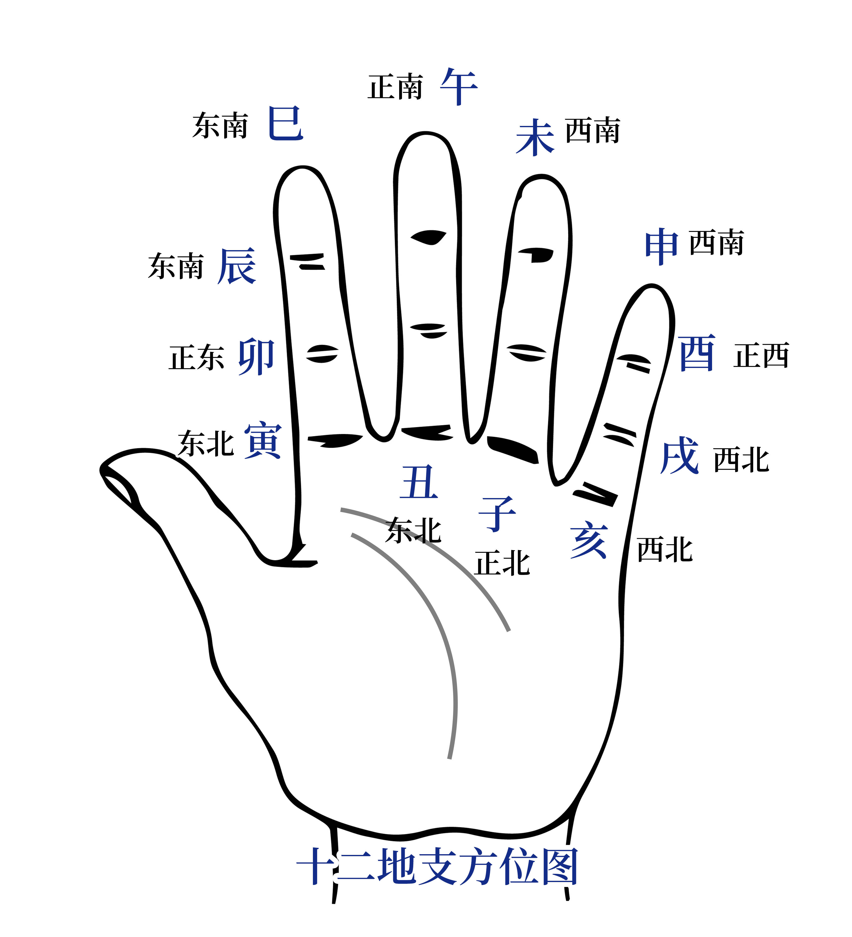 江阳君快速记忆十二地支五行属性生肖的方法