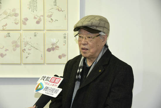 中央美术学院教授张立辰接受媒体采访看了这一年赵天叶