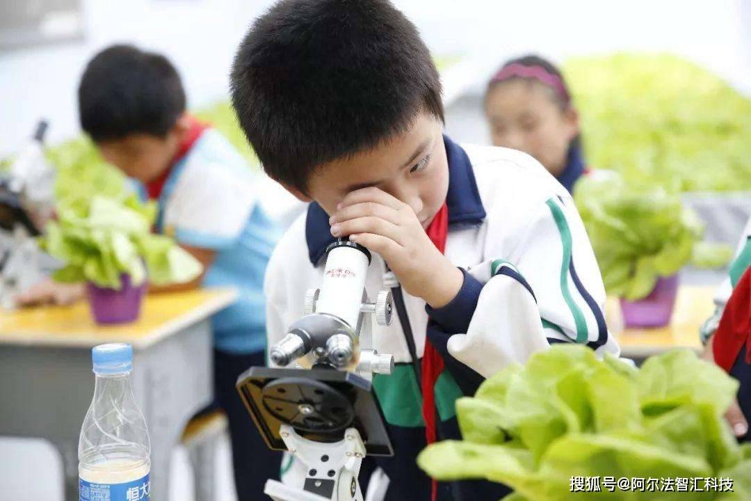 阿尔法智汇农业教育进校园背后的意义