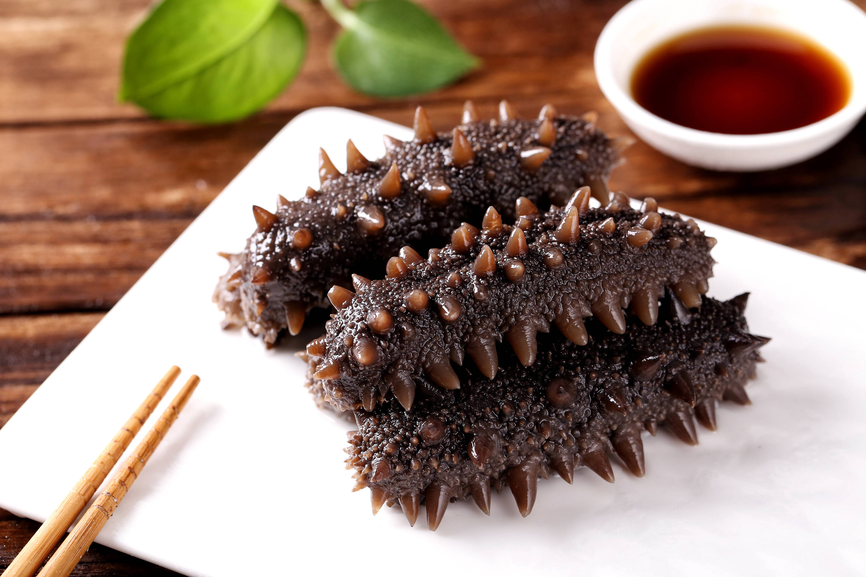 常有人问海参应该什么时节吃全乎的答案在这里