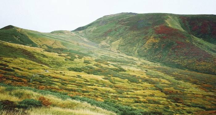 水效新国标再次推高行业门槛,净水机将打响新突围战-家电圈官网