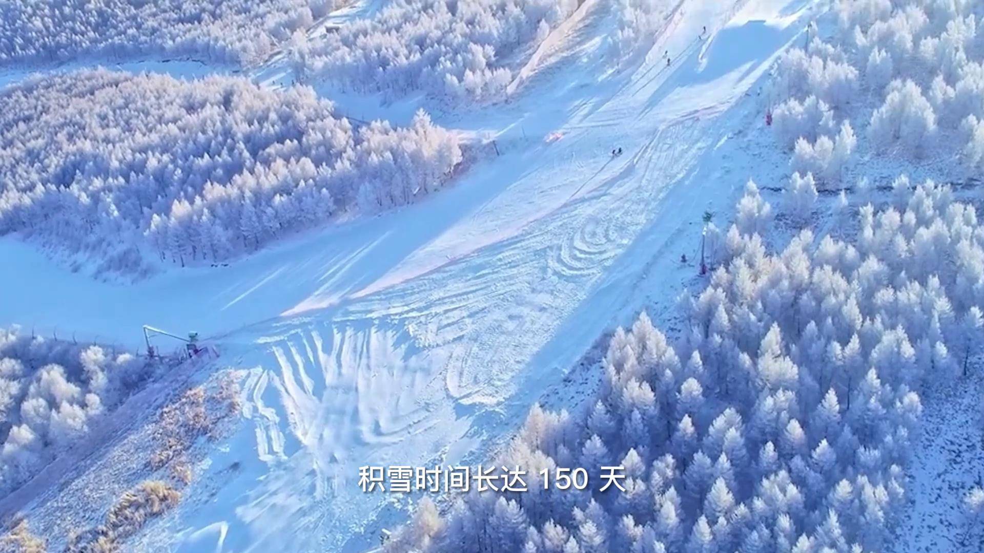 2022冬奥会惊艳整个冬日 冰玉环雪如意张家口场馆与你