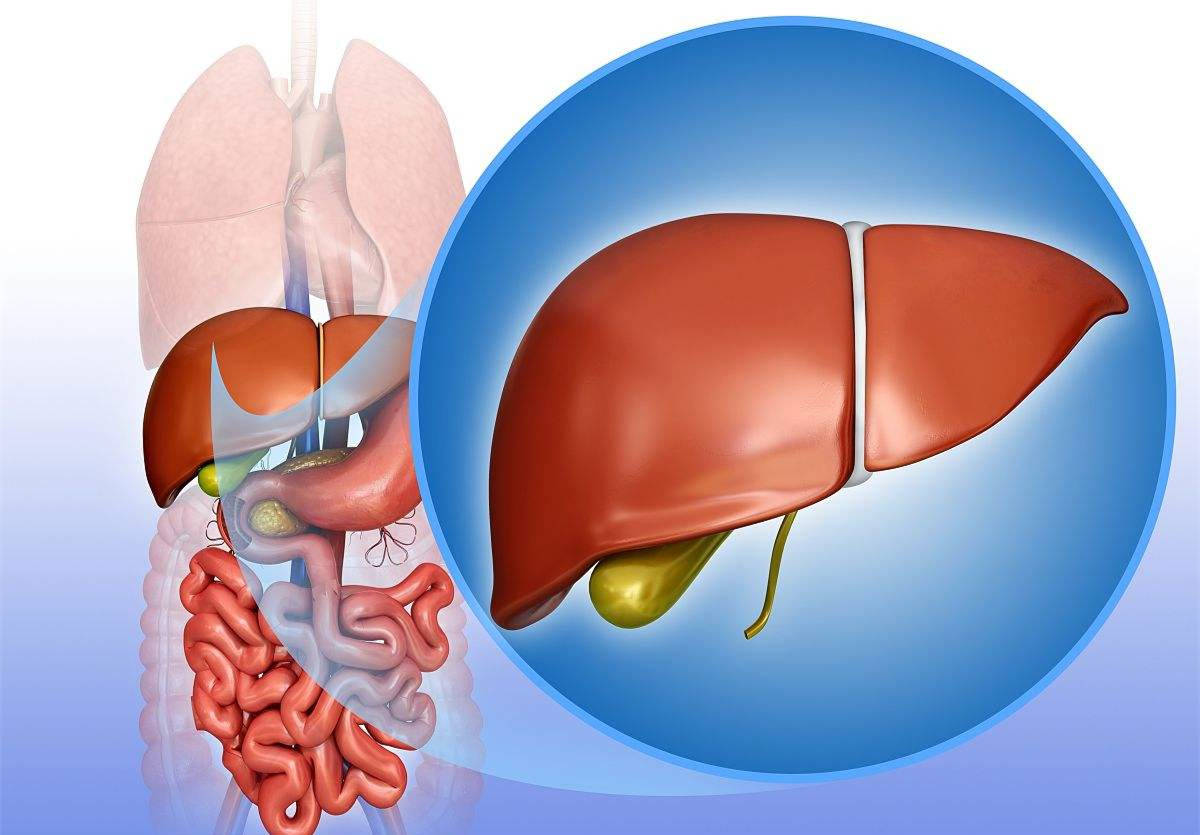 肝功受损怎么办