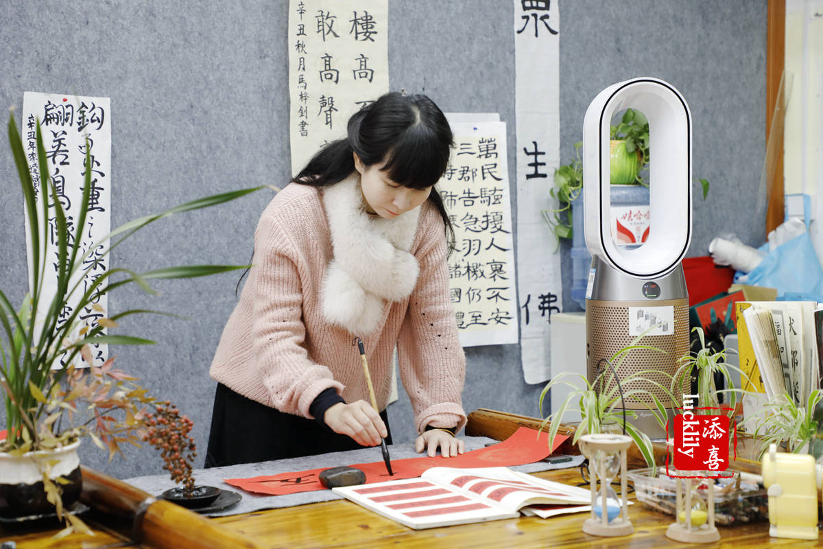 机器|戴森达人学院 | 戴森HP09空气净化暖风扇测评报告