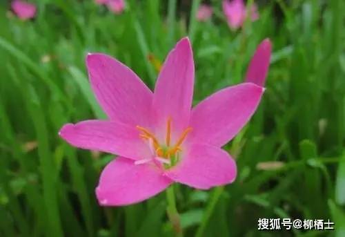 【高考作文】任务驱动型作文标题吸睛大法