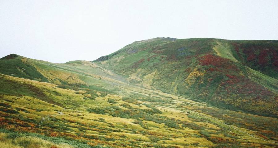 2022年家电产业的五个值得期待-家电圈官网