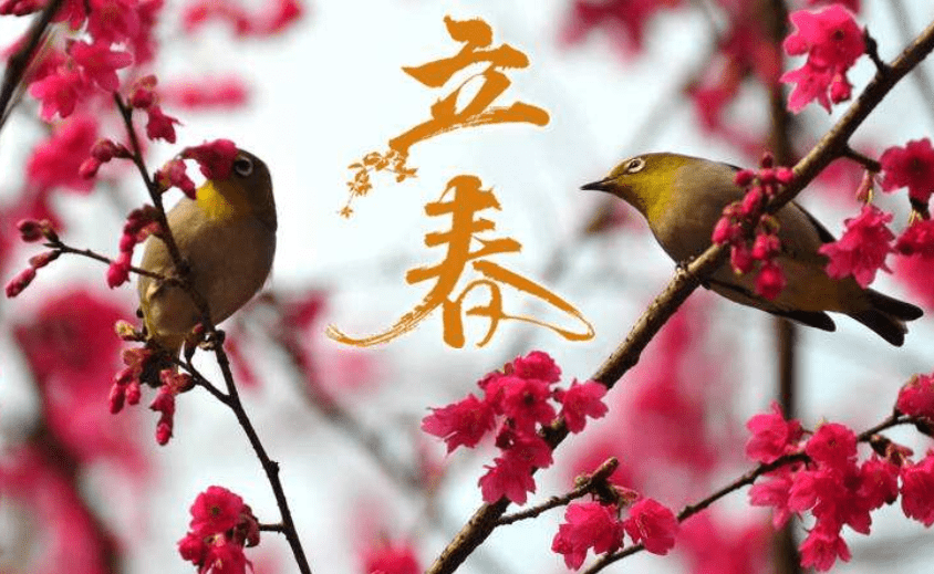 c6a07b81ecd24b3fb8386fa54a1ba616.png