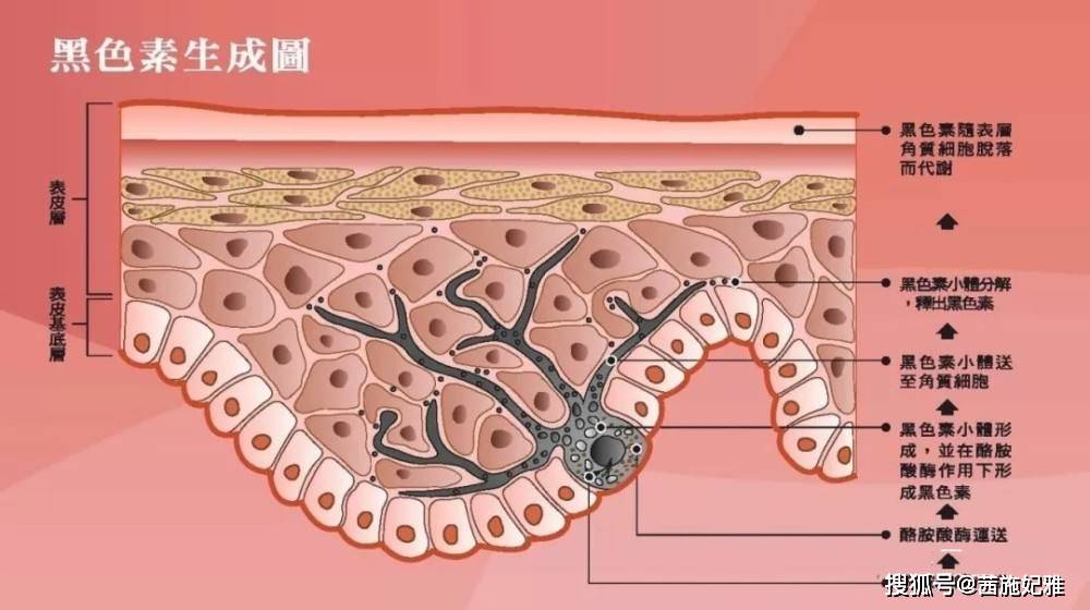 因为祛斑产品到底有用吗？又该怎么挑？