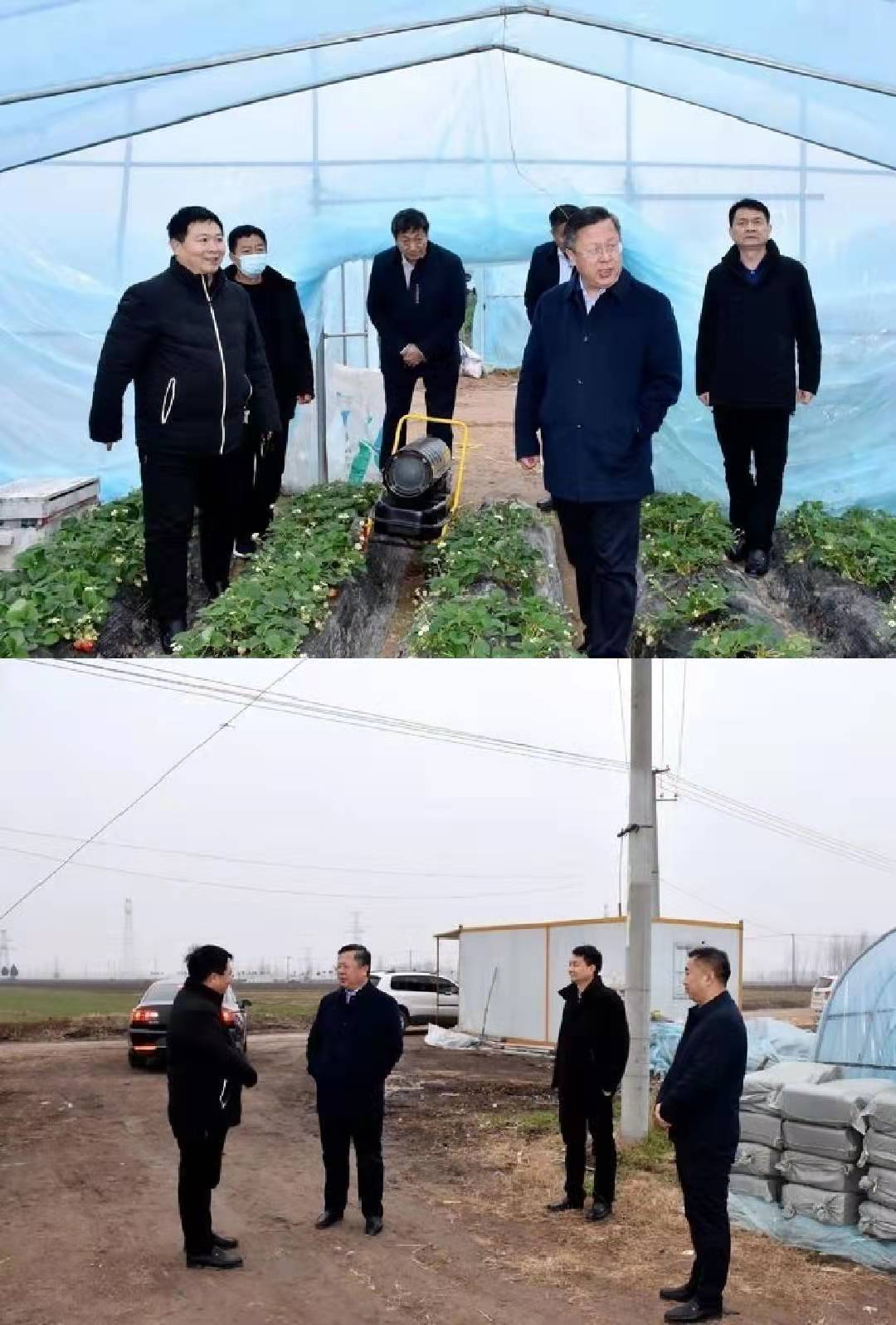 东明县委副书记,代县长赵海林一行到大屯镇调研指导工作_发展_农业