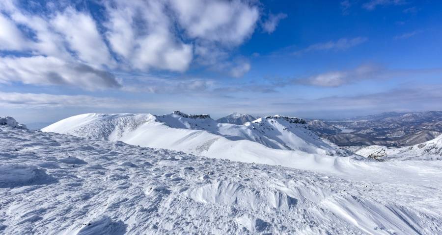 掘金新赛道，2021年家电业这些风口被谁抓住了？-家电圈官网