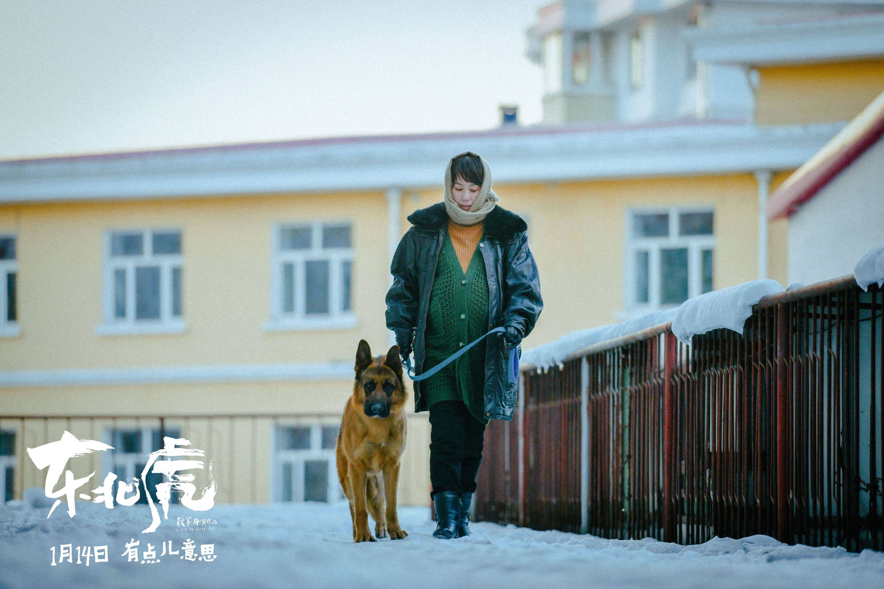 东北|黑色幽默电影《东北虎》曝终极预告 章宇马丽演活凶猛小人物