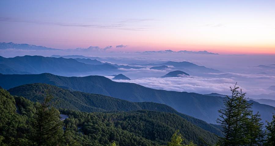 今年家电市场的乐观与悲伤同存在-家电圈官网