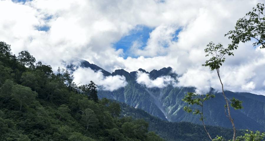 家电企业拓宽河道建新赛道不能太乐观-家电圈官网