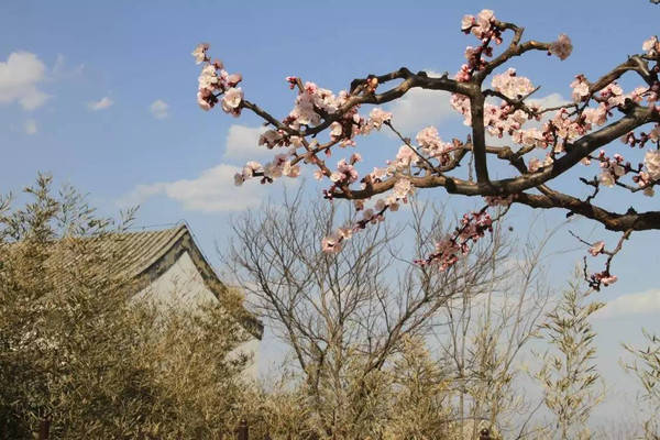 三月初五搬家好不好
