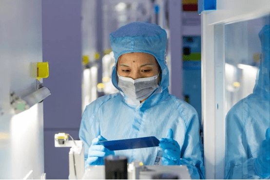 隆基乐叶生产防疫两不误