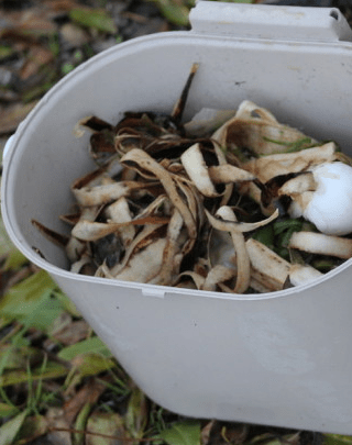 厨余发酵方法,阳台族们的沤肥法宝