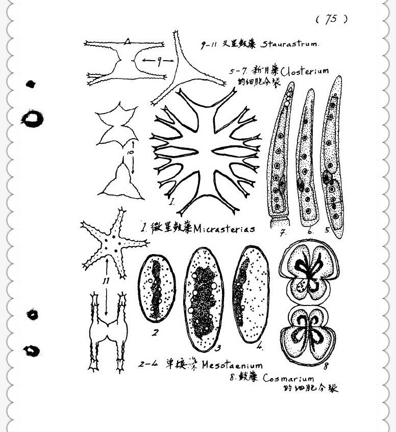 615a26f5940a4294af3b5c7ca42636e4.png
