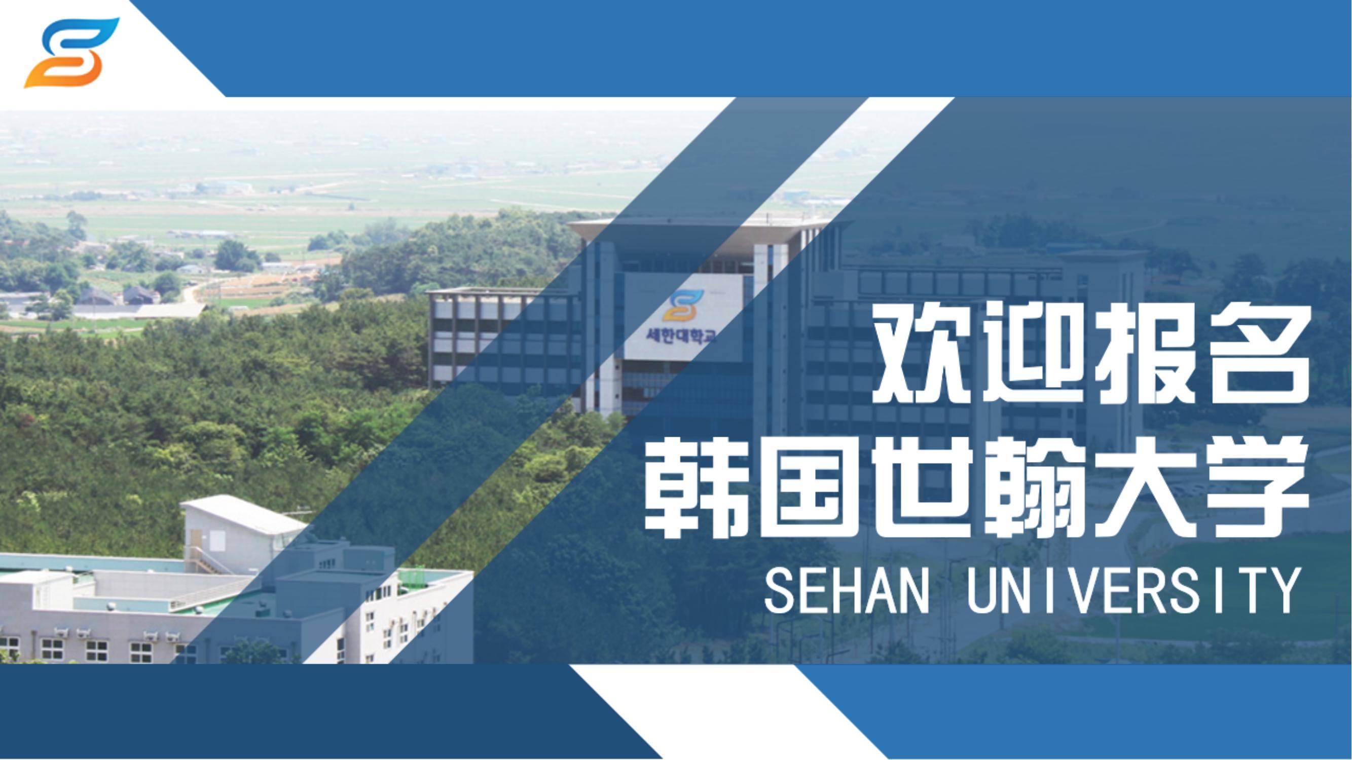 韩国世翰大学图片