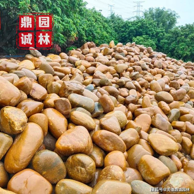 如何摆放天然黄蜡石 地质 作用 岩石 如何摆放天然黄蜡石 地质 作用 岩石