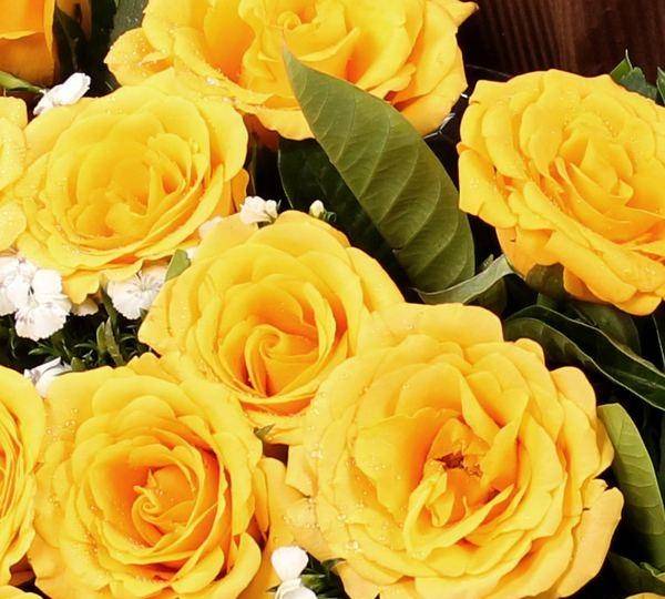 2月下旬开始好运追着跑 财气进门 事业突飞猛进的四大生肖 工作 财富 莫海波