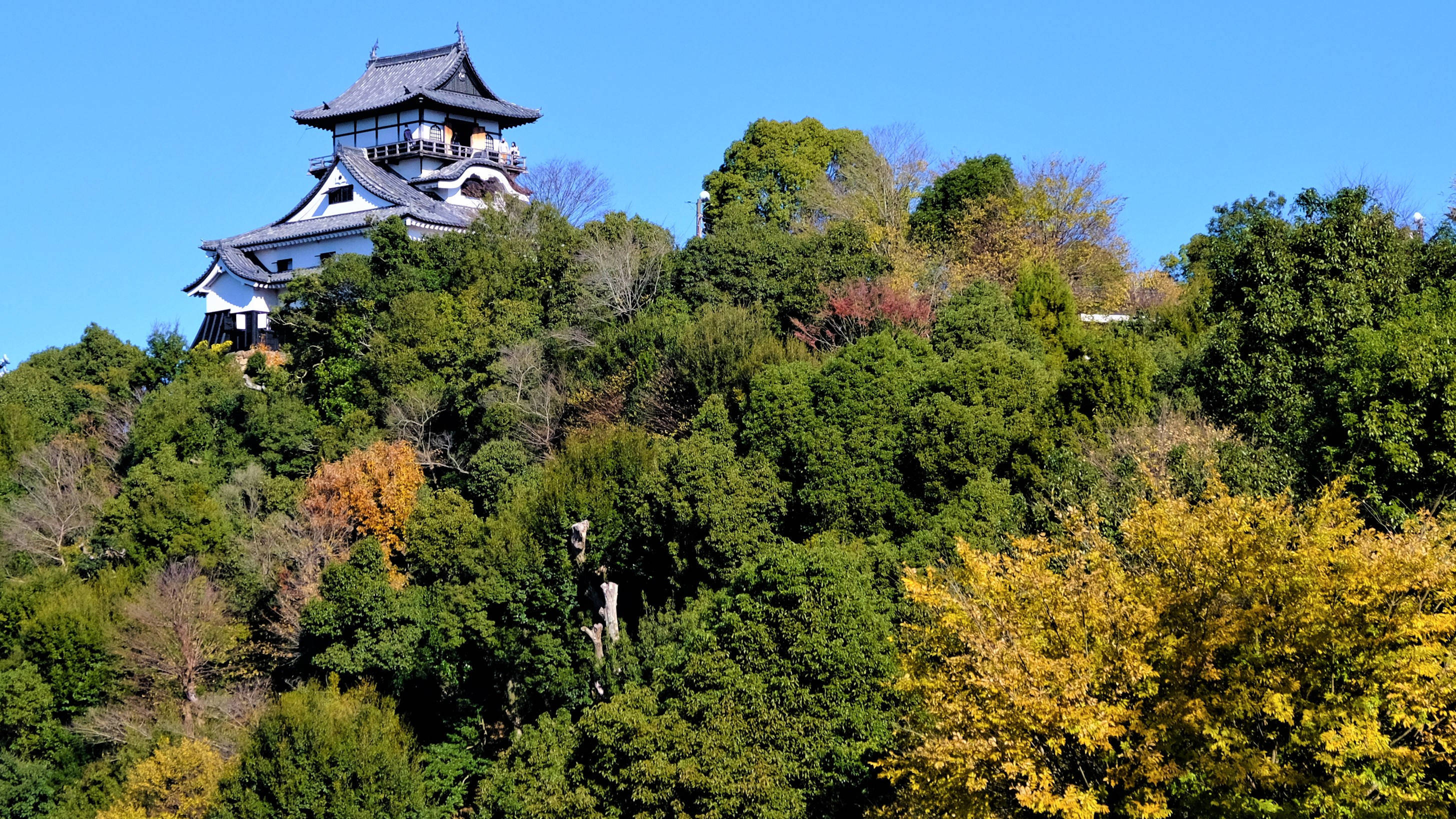 饺子|日本中部 嗨翻天的亲子之旅