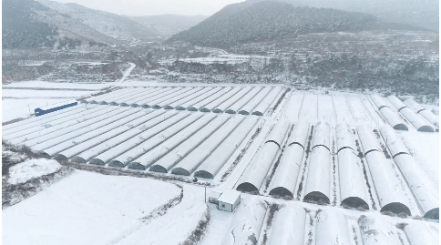 大棚防雪设计图片