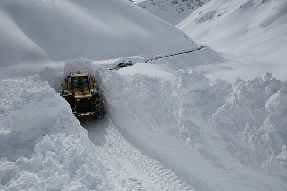 拜登|残酷的雪景，惨兮兮的美感