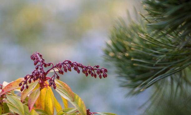 往后9天财运来兜兜转转旧爱求情旧人回头好运连绵