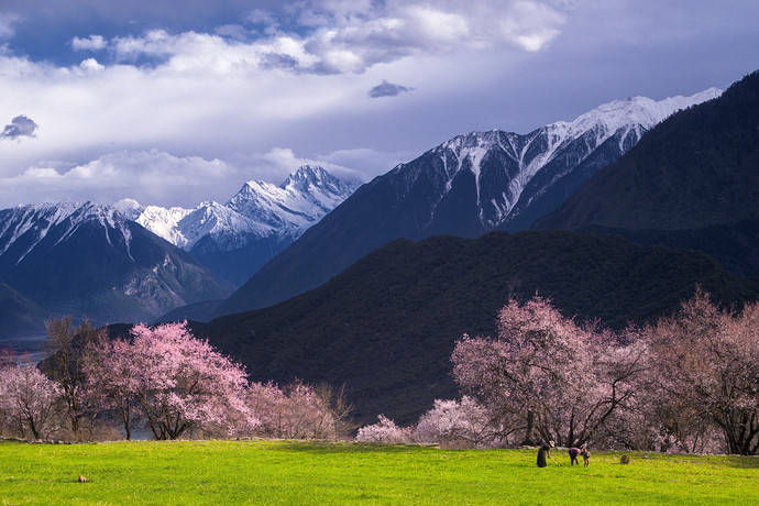 火车_遗址_高反