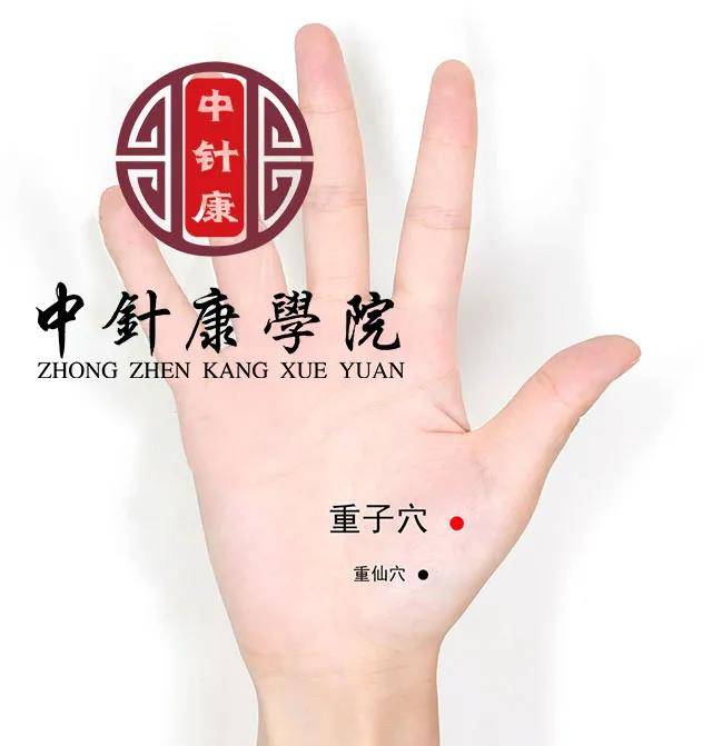 董针-重子穴_掌骨_董氏_大指