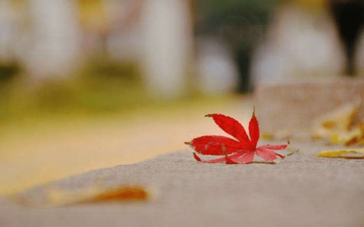 aabf7e1e1a874864b4f43de69d2d7816.png