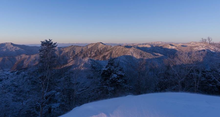 一线家电市场再现“真假”之争-家电圈官网