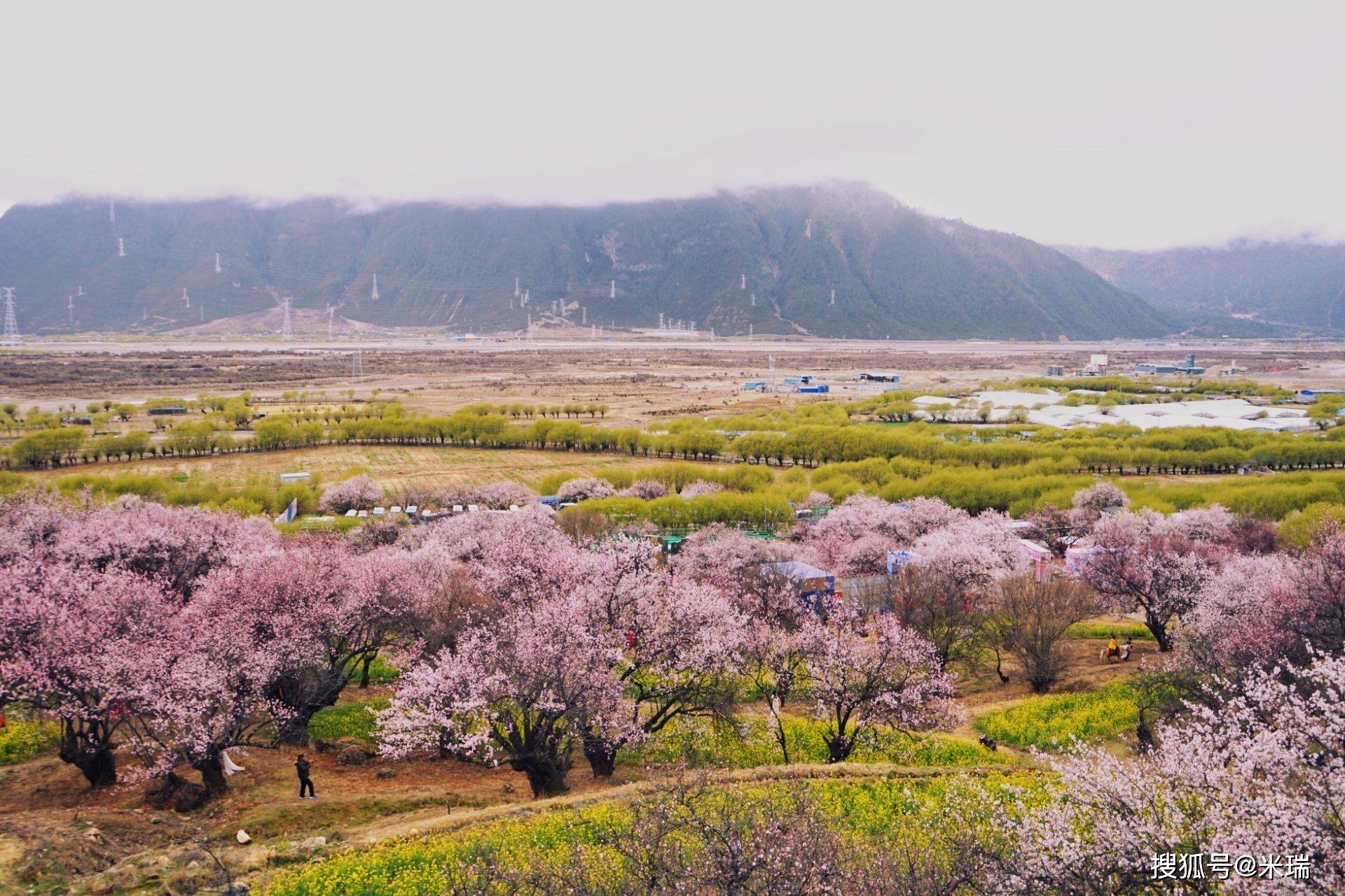 西藏林芝"最美桃花观赏地"新鲜出炉!_米瑞_工布江达_索松村