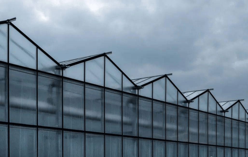 玻璃温室的原理和功能 植物 散热 系统